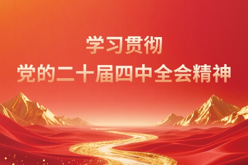 學習貫徹黨的二十屆四中全會精神